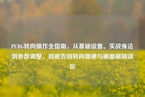 PUBG转向操作全指南，从基础设置、实战身法到参数调整，彻底告别转向僵硬与画面模糊误区