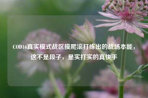 COD16真实模式战区摸爬滚打练出的战场本能,这不是段子,是实打实的真快手
