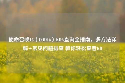 使命召唤16(COD16)KDA查询全指南,多方法详解+常见问题排查 教你轻松查看KD