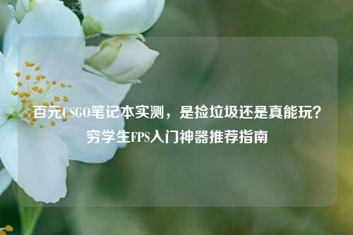 百元CSGO笔记本实测,是捡垃圾还是真能玩?穷学生FPS入门神器推荐指南
