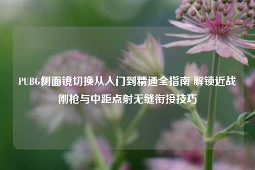 PUBG侧面镜切换从入门到精通全指南 解锁近战刚枪与中距点射无缝衔接技巧