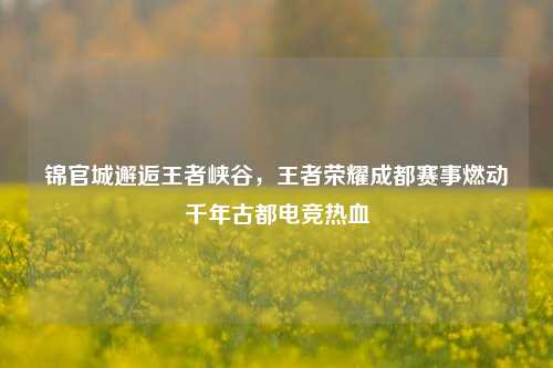 锦官城邂逅王者峡谷,王者荣耀成都赛事燃动千年古都电竞热血