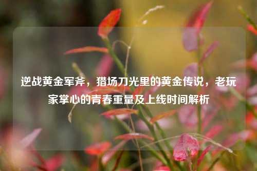 逆战黄金军斧，猎场刀光里的黄金传说，老玩家掌心的青春重量及上线时间解析