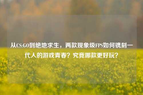 从CS:GO到绝地求生,两款现象级FPS如何镌刻一代人的游戏青春?究竟哪款更好玩?