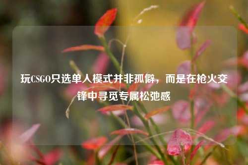 玩CSGO只选单人模式并非孤僻,而是在枪火交锋中寻觅专属松弛感