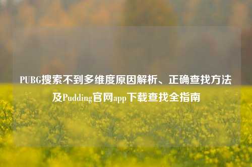 PUBG搜索不到多维度原因解析、正确查找方法及Pudding官网app下载查找全指南