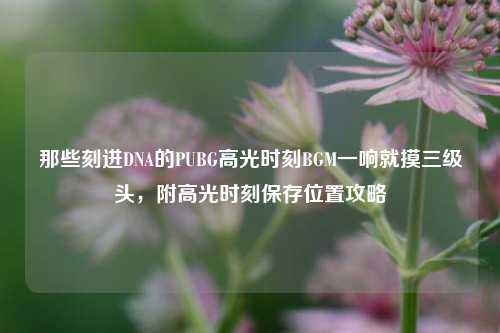 那些刻进DNA的PUBG高光时刻BGM一响就摸三级头，附高光时刻保存位置攻略