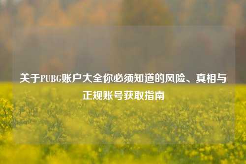 关于PUBG账户大全你必须知道的风险、真相与正规账号获取指南