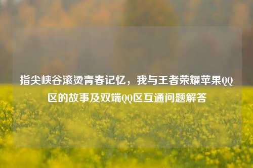 指尖峡谷滚烫青春记忆,我与王者荣耀苹果QQ区的故事及双端QQ区互通问题解答