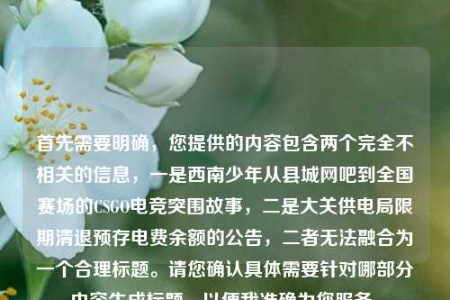 首先需要明确，您提供的内容包含两个完全不相关的信息，一是西南少年从县城网吧到全国赛场的CSGO电竞突围故事，二是大关供电局限期清退预存电费余额的公告，二者无法融合为一个合理标题。请您确认具体需要针对哪部分内容生成标题，以便我准确为您服务。