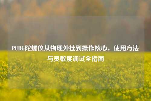 PUBG陀螺仪从物理外挂到操作核心,使用方法与灵敏度调试全指南
