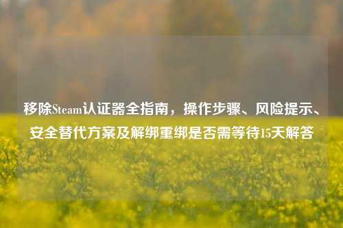 移除Steam认证器全指南,操作步骤、风险提示、安全替代方案及解绑重绑是否需等待15天解答