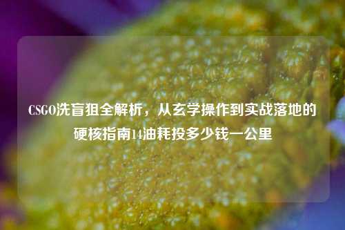 CSGO洗盲狙全解析，从玄学操作到实战落地的硬核指南14油耗投多少钱一公里
