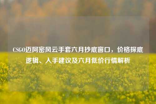 CSGO迈阿密风云手套六月抄底窗口，价格探底逻辑、入手建议及六月低价行情解析