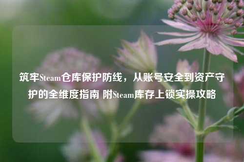 筑牢Steam仓库保护防线，从账号安全到资产守护的全维度指南 附Steam库存上锁实操攻略