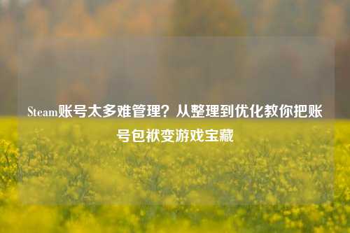 Steam账号太多难管理?从整理到优化教你把账号包袱变游戏宝藏