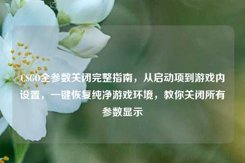 CSGO全参数关闭完整指南,从启动项到游戏内设置,一键恢复纯净游戏环境,教你关闭所有参数显示