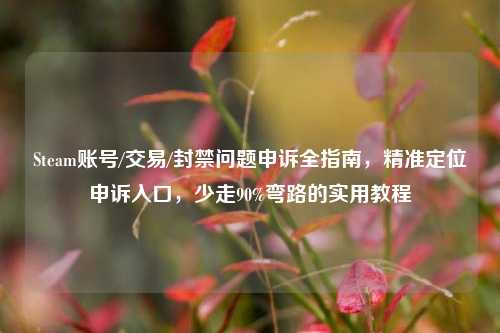 Steam账号/交易/封禁问题申诉全指南,精准定位申诉入口,少走90%弯路的实用教程
