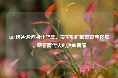 LOL峡谷邂逅湘北篮筐,买不到的灌篮高手皮肤,藏着两代人的热血青春