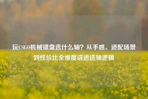 玩CSGO机械键盘选什么轴？从手感、适配场景到性价比全维度讲透选轴逻辑