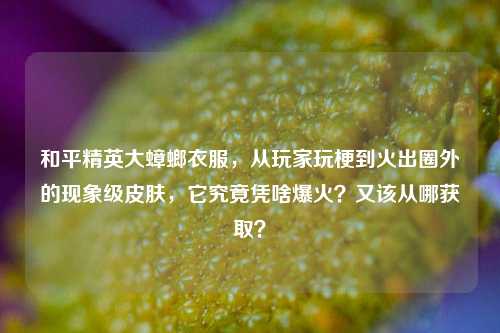 和平精英大蟑螂衣服,从玩家玩梗到火出圈外的现象级皮肤,它究竟凭啥爆火?又该从哪获取?