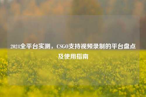 2024全平台实测，CSGO支持视频录制的平台盘点及使用指南