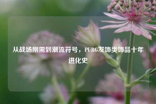 从战场刚需到潮流符号，PUBG发饰类饰品十年进化史