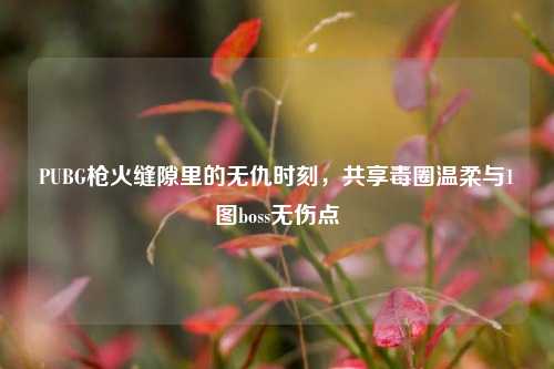 PUBG枪火缝隙里的无仇时刻,共享毒圈温柔与1图boss无伤点