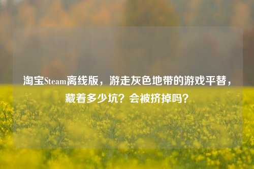 淘宝Steam离线版,游走灰色地带的游戏平替,藏着多少坑?会被挤掉吗?