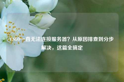 CSGO一直无法连接服务器?从原因排查到分步解决,这篇全搞定