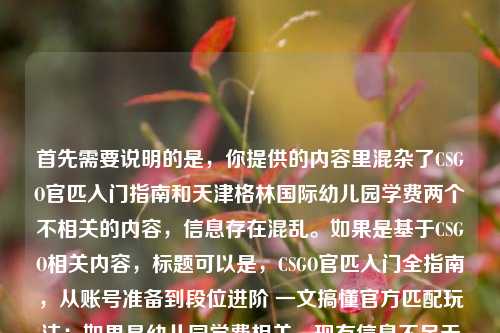 首先需要说明的是，你提供的内容里混杂了CSGO官匹入门指南和天津格林国际幼儿园学费两个不相关的内容，信息存在混乱。如果是基于CSGO相关内容，标题可以是，CSGO官匹入门全指南，从账号准备到段位进阶 一文搞懂官方匹配玩法；如果是幼儿园学费相关，现有信息不足无法生成准确标题，建议你明确具体需求，提供清晰单一的内容哦。