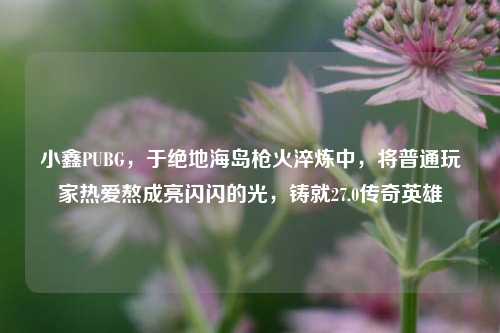 小鑫PUBG,于绝地海岛枪火淬炼中,将普通玩家热爱熬成亮闪闪的光,铸就27.0传奇英雄