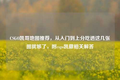 CSGO凯哥地图推荐，从入门到上分吃透这几张图就够了，附csgo凯撒相关解答
