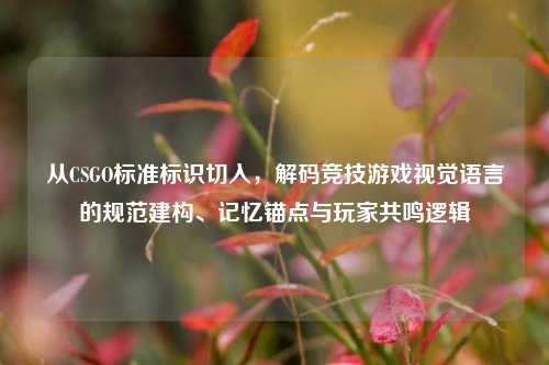 从CSGO标准标识切入,解码竞技游戏视觉语言的规范建构、记忆锚点与玩家共鸣逻辑
