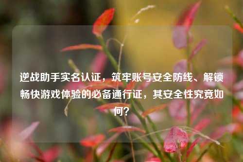 逆战助手实名认证，筑牢账号安全防线、解锁畅快游戏体验的必备通行证，其安全性究竟如何？