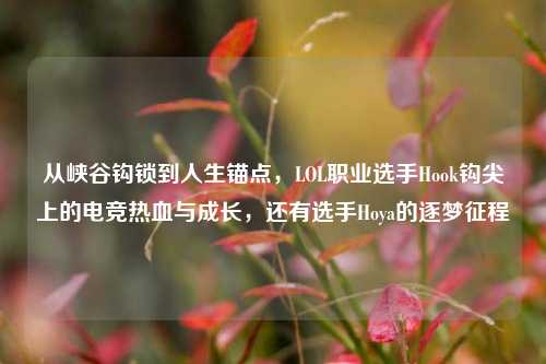 从峡谷钩锁到人生锚点，LOL职业选手Hook钩尖上的电竞热血与成长，还有选手Hoya的逐梦征程