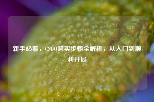 新手必看,CSGO购买步骤全解析,从入门到顺利开局