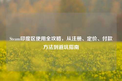 Steam印度区使用全攻略,从注册、定价、付款方法到避坑指南