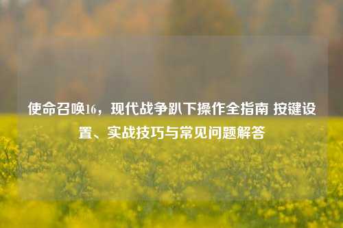 使命召唤16，现代战争趴下操作全指南 按键设置、实战技巧与常见问题解答