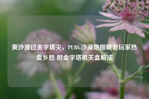 黄沙漫过金字塔尖，PUBG沙漠地图藏老玩家热血乡愁 附金字塔机关盒解法