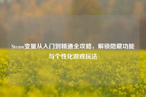 Steam变量从入门到精通全攻略,解锁隐藏功能与个性化游戏玩法