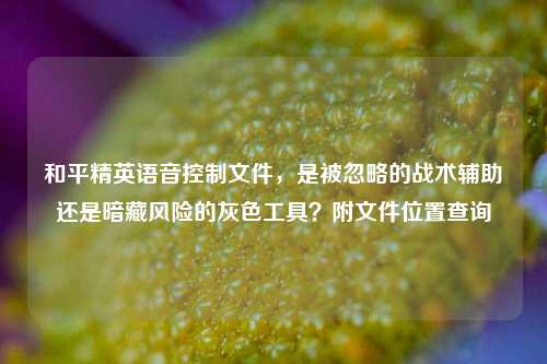 和平精英语音控制文件，是被忽略的战术辅助还是暗藏风险的灰色工具？附文件位置查询
