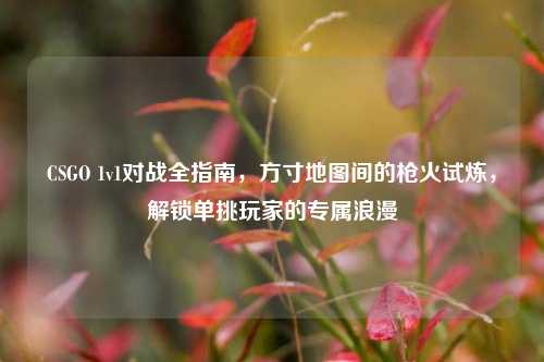 CSGO 1v1对战全指南,方寸地图间的枪火试炼,解锁单挑玩家的专属浪漫