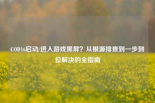 COD16启动/进入游戏黑屏?从根源排查到一步到位解决的全指南