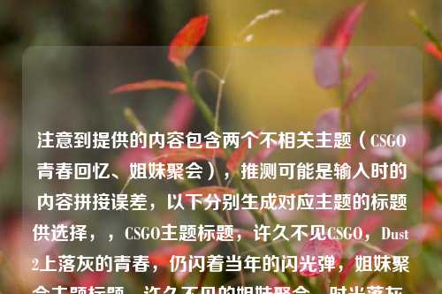 注意到提供的内容包含两个不相关主题(CSGO青春回忆、姐妹聚会),推测可能是输入时的内容拼接误差,以下分别生成对应主题的标题供选择,,CSGO主题标题,许久不见CSGO,Dust2上落灰的青春,仍闪着当年的闪光弹,姐妹聚会主题标题,许久不见的姐妹聚会,时光落灰,我们的情谊仍闪着光