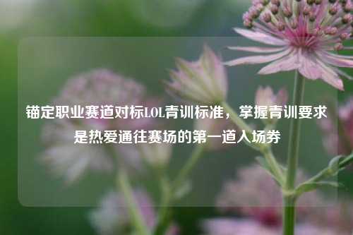 锚定职业赛道对标LOL青训标准，掌握青训要求是热爱通往赛场的第一道入场券
