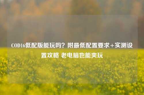 COD16低配版能玩吗?附最低配置要求+实测设置攻略 老电脑也能爽玩