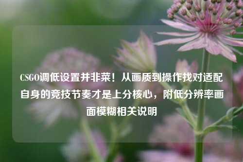 CSGO调低设置并非菜!从画质到操作找对适配自身的竞技节奏才是上分核心,附低分辨率画面模糊相关说明