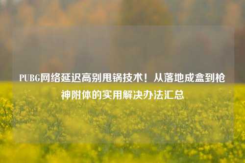 PUBG网络延迟高别甩锅技术！从落地成盒到枪神附体的实用解决办法汇总