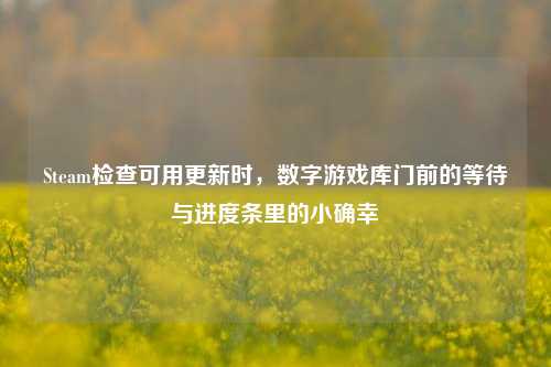Steam检查可用更新时,数字游戏库门前的等待与进度条里的小确幸